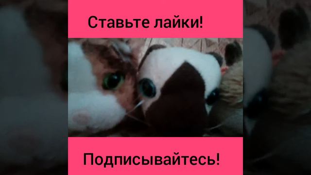 Первое видео. Девочки. смотреть онлайн