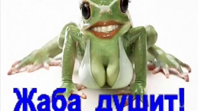 Жаба душит!