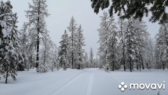 Отдых на избе 08-10.11. 2020 смотреть онлайн