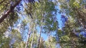 Шерали Жураев ок кайин