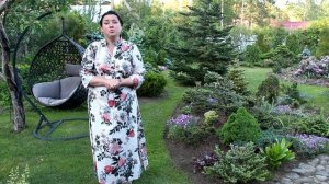 Красивый сад на даче. С чего начать?