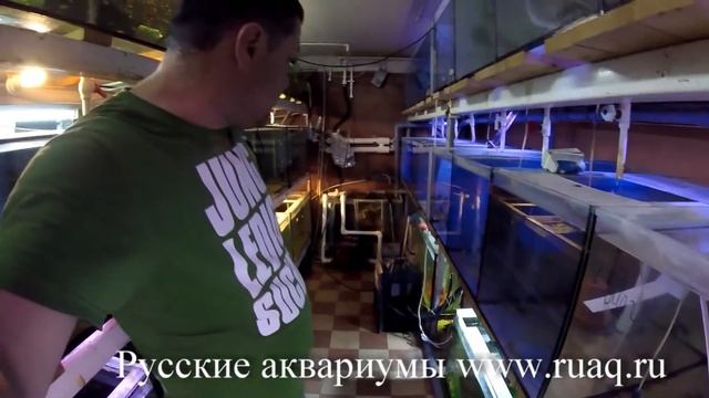 Принципы построения рыборазводни смотреть онлайн