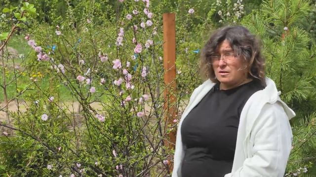 Ответы на вопросы выпуск 1: Миндаль трехлопастной смотреть онлайн