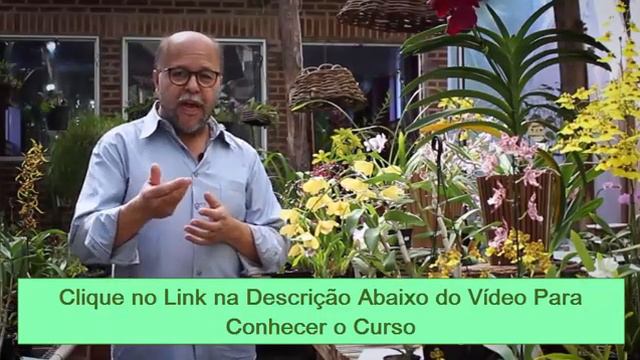 Como Cuidar de Orquídea Phalaenopsis - Aprenda a cuidar de Orquídeas смотреть онлайн