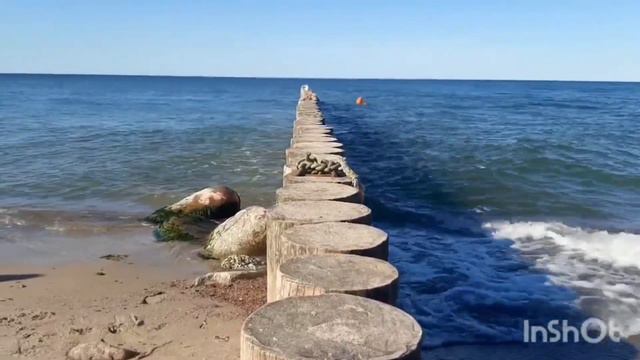 Вспоминая Балтику. Секреты моря. Балтика. Реликтовый лес в Зеленоградске и 