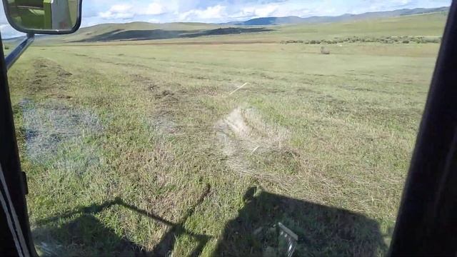 сенокос 2023 немного Тимофеевки. смотреть онлайн