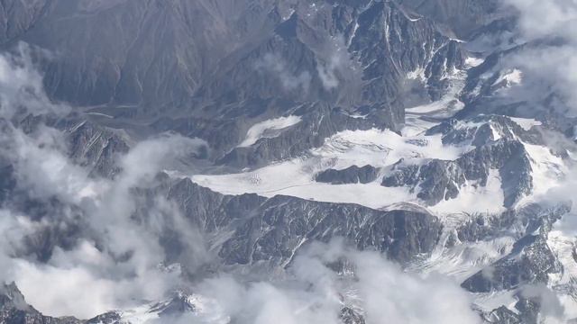 Перелет с кошкой за границу | Мин воды- Ереван-Дюссельдорф #germany #германия #travelvlog смотреть онлайн