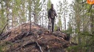 Тайны Сибири.  Находки в Тайге