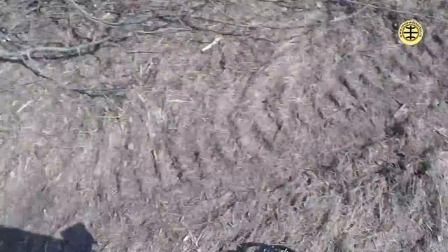 Nokta Makro Anfibio Multi обзор, тесты, находки