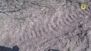 Nokta Makro Anfibio Multi обзор, тесты, находки