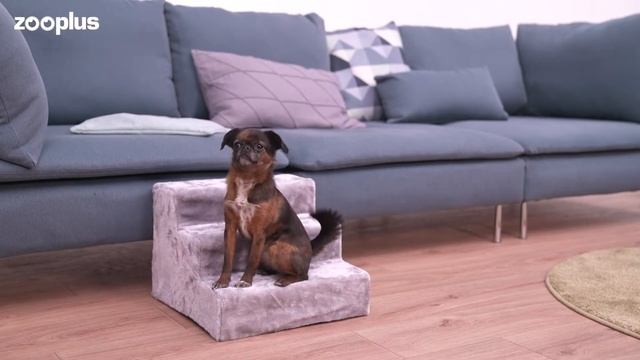 Escalera Stepway para perros y gatos смотреть онлайн