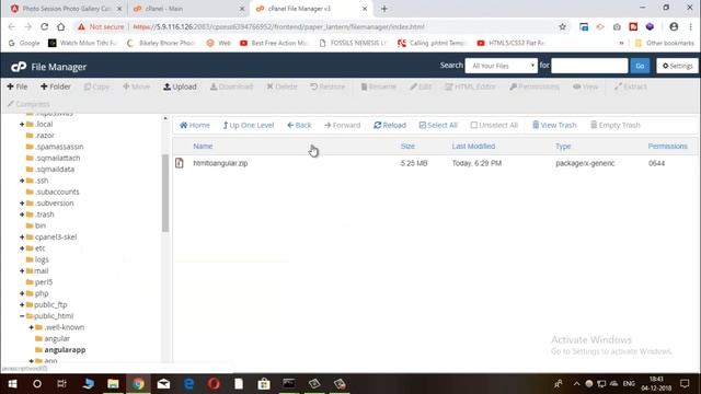 How to deploy and host an angular 6 or 7 project on a live server | Rocking Support смотреть онлайн