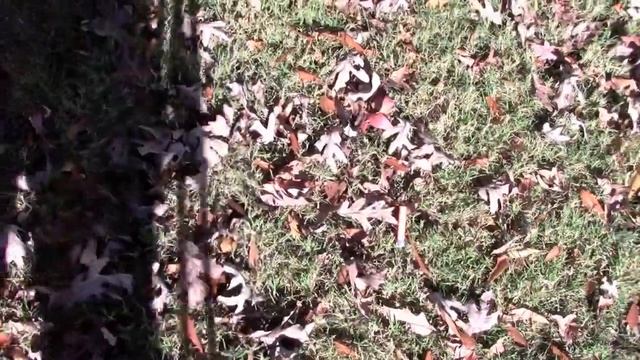 Blowguns: The Cheap Alternative смотреть онлайн