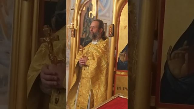 Проповедь об исцелении Господом Иисусом Христом бесноватого отрока (17 августа 2020 г.) смотреть онлайн