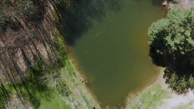 Mavic Air Flight - Blackberry Blossom Campground смотреть онлайн