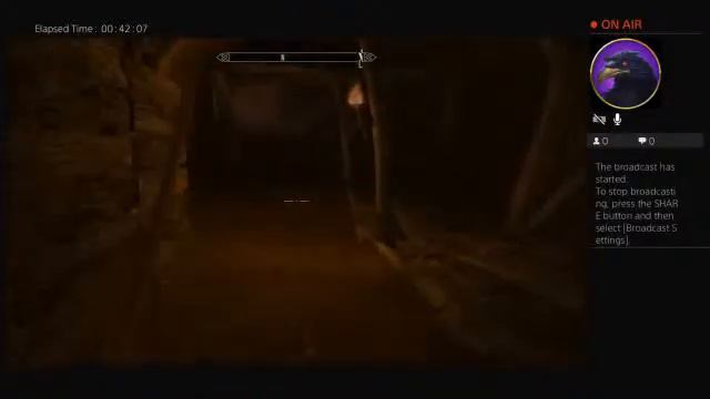 Dirtysneakthief's Live PS4 Broadcast смотреть онлайн