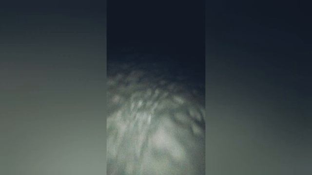 Малой заблудился, в трёх соснах (природа,ЛЕС) смотреть онлайн
