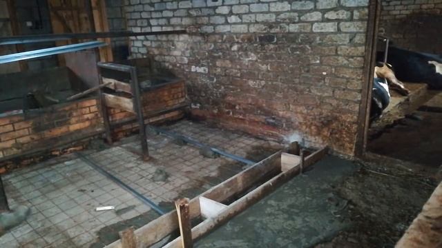 Решил ЗАЛИТЬ ПОЛЫ в коровнике ЗАНОВО | причины смотреть онлайн