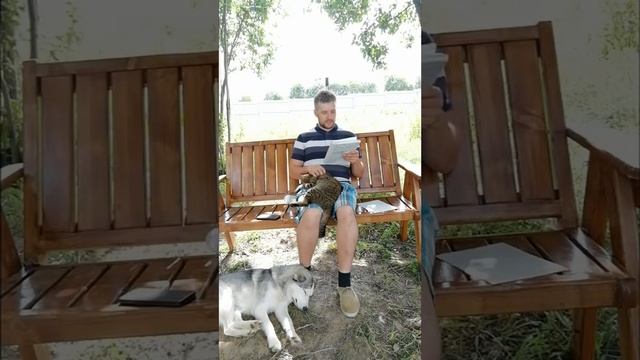 Давайте знакомиться и чем я кормлю своих хаски (1) смотреть онлайн