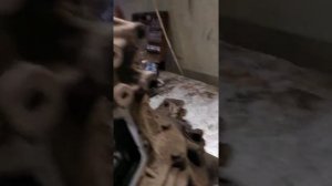 ремонт МКПП Чери Тиго китайское авто