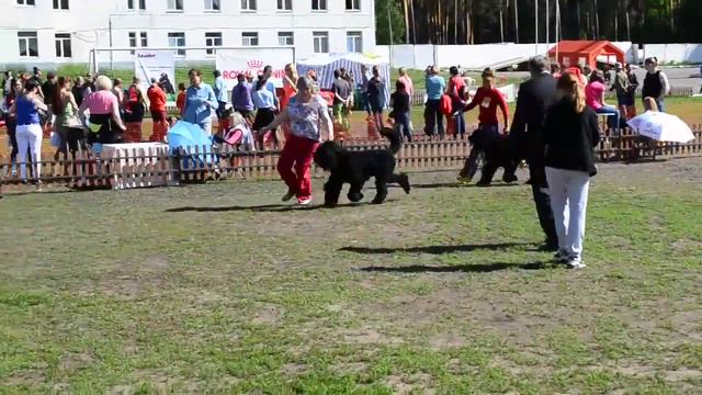 DSC 8820 смотреть онлайн