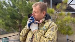 Вожак гамадрил хотел УБИТЬ МАЛЫША, но Олег Зубков его забрал! Живи, Степка, ЖИВИ!