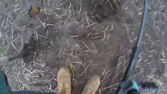 Коп в перспективном месте/5 копеек Екатерины