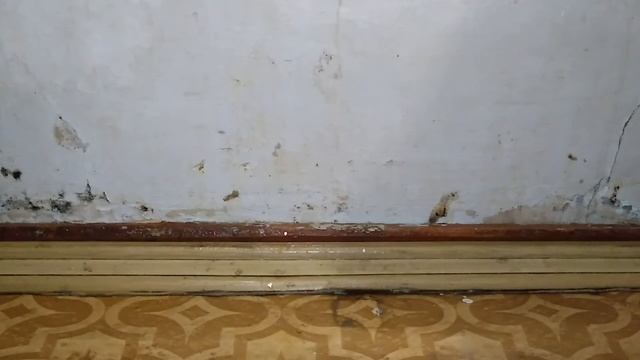 Как удалить чёрную плесень? 100% метод за 15 минут смотреть онлайн