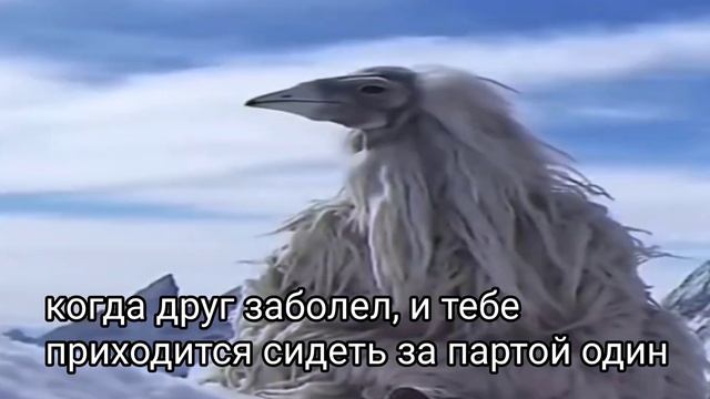 птица сидит смотреть онлайн