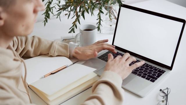 La VERDADERA razón por la cual NO DEBES aprender el stack MERN. ? смотреть онлайн