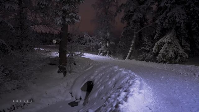 3 Hours Of Romantic Winter Night Walks In Snow, Finland - Slow TV 4K