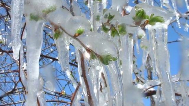 Серебряные свадьбы смотреть онлайн