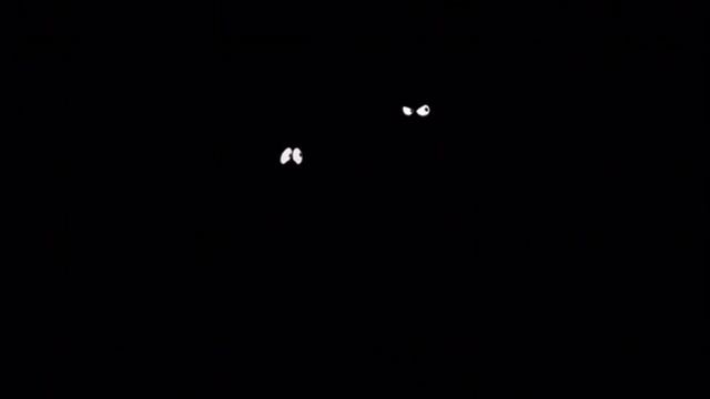Eyes in the Dark Compilation 15 смотреть онлайн