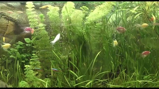 Нежный и крепкий СОН, глубокий релакс и успокоение нервной системы смотреть онлайн