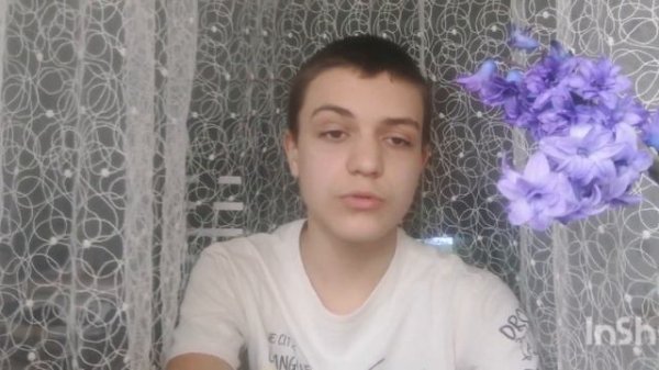 Какие бывают породы хомяков