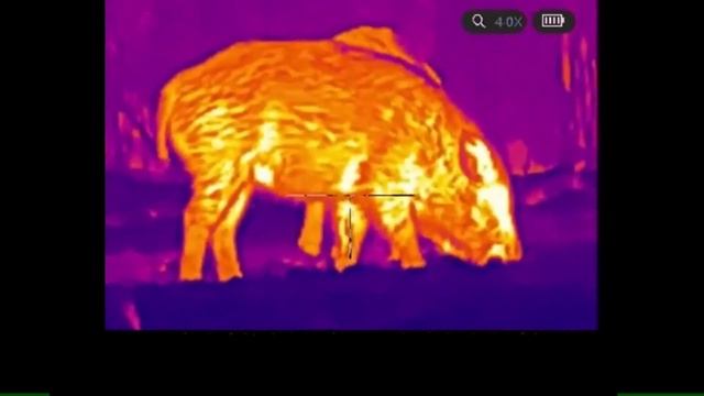 NNPO TR22 Thermal Riflescope