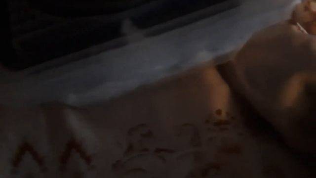хозяйка Кузи хочет забрать его Ну мы говорим что он в нашем приюте до встречи новых хозяев смотреть онлайн