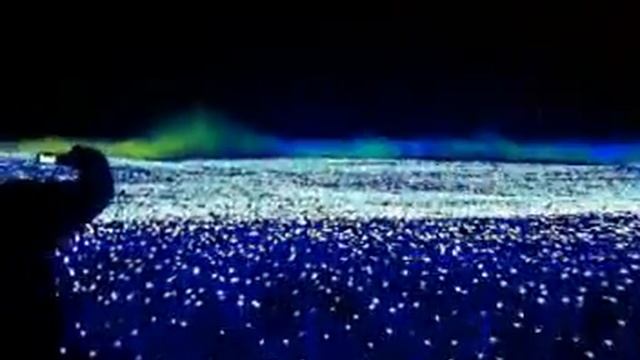 Иллюминация в Нагасима, Кувана.