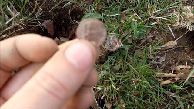 Relic find's with Fisher F2 смотреть онлайн