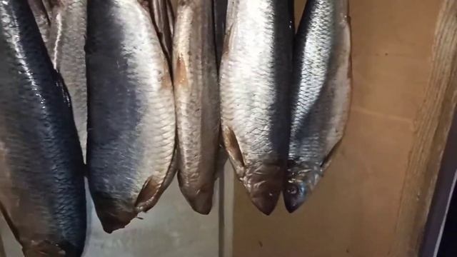 СЕЛЕДОЧКА Х/К, как ДОБИТЬСЯ ЗОЛОТОГО ЦВЕТА,???????всё дело в температуре смотреть онлайн