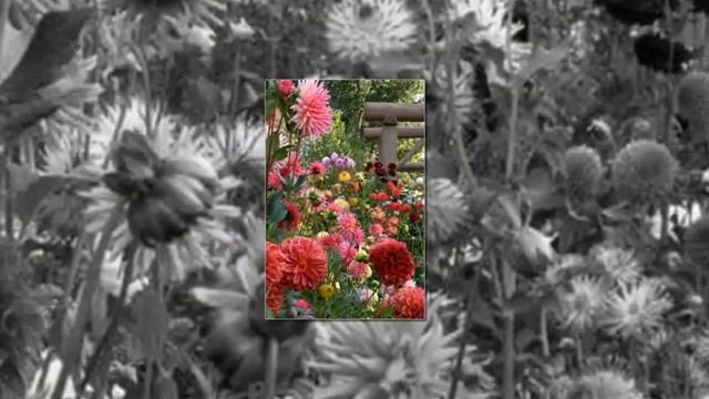 Ландшафтный дизайн 68 идей создания красивой клумбы своими руками смотреть онлайн