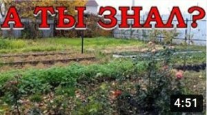 МЕЖЕВАНИЕ дачного участка: ПОШАГОВО