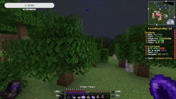 ИГРА ПОСЛЕ БАНА I CUBEWORLD I HOLYWORLD I FUNTIME I CUBEWORLD