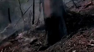 ТЯЖЁЛЫМ  БАСОМ ГУДИТ ФУГАС -- Влад НЕЖНЫЙ