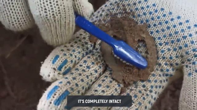 WE FOUND A LOT OF GERMAN AWARDS AND WEAPONS NEAR KONIGSBERG / WW2 METAL DETECTING смотреть онлайн