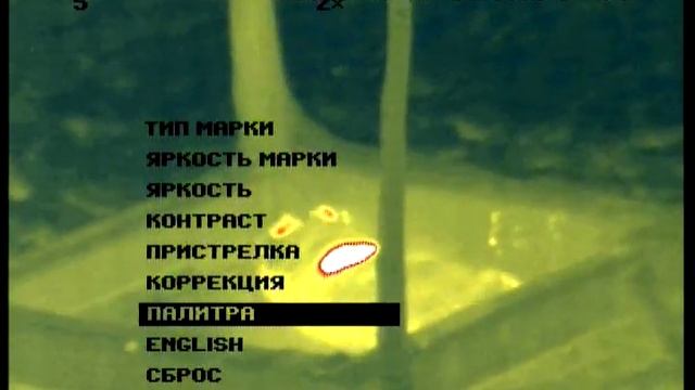 кабаны в тепловизор (fortuna One 6m) - Boars - 30m (dup-2)-02