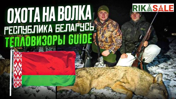 Выстрел по волку. Охота на волков с Олегом Крупица в Республике Беларусь.