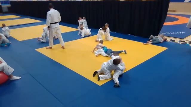 тренировка младшей группы дзюдо (26.01.21) 17:15 смотреть онлайн