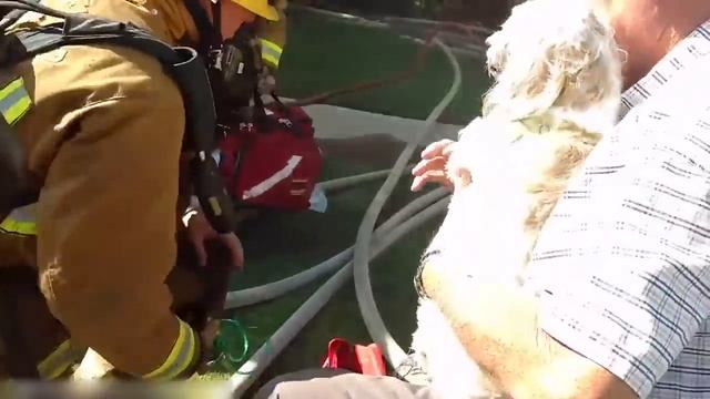 Попробуй Не Заплакать! 40 Спонтанных Случаев Проявления Доброты смотреть онлайн