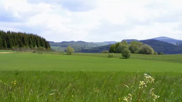 Pierre Attaingnant's Tourdion смотреть онлайн